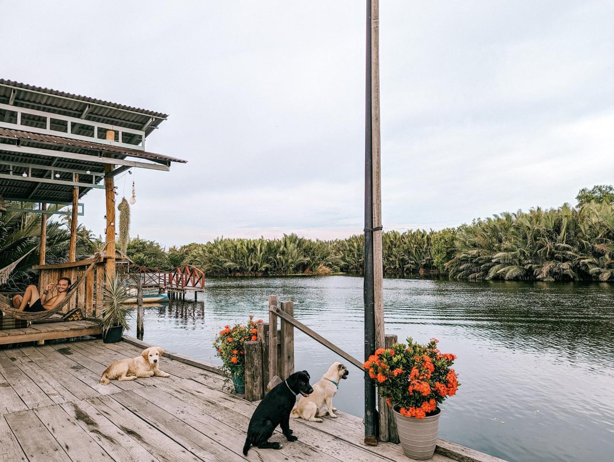 Funky Moon Kampot Hostel ภายนอก รูปภาพ